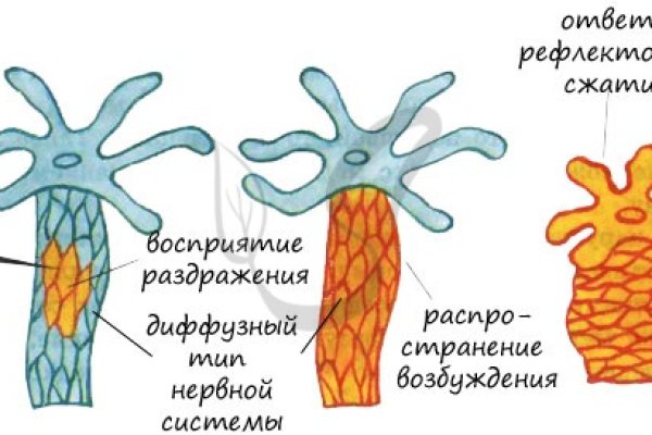 Kraken 13 at сайт