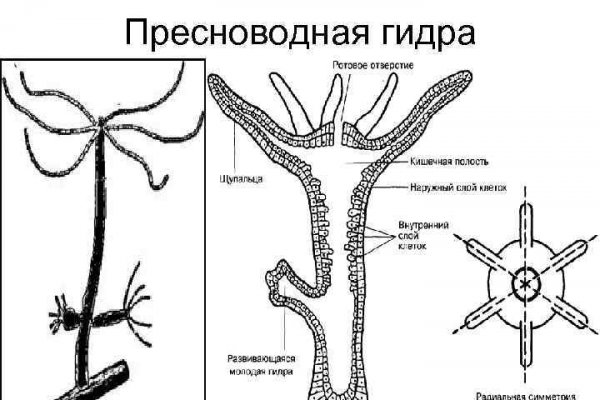 Наркотики заказать