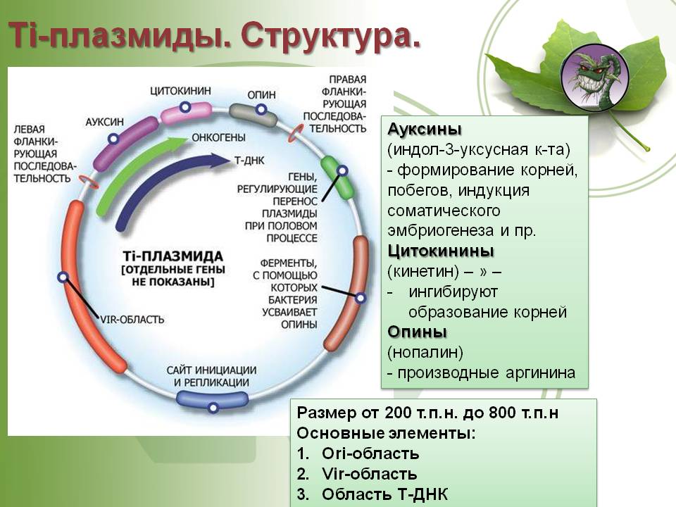 Кракен даркмаркет плейс официальный сайт